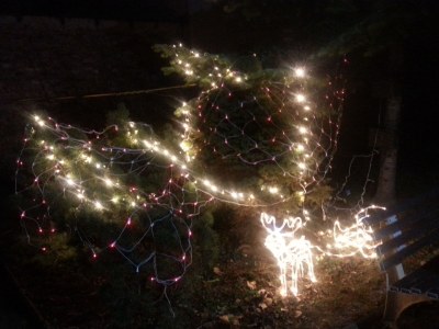 Holiday apartment Ferienwohnung Taca - Outdoor photo 6