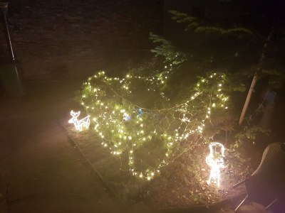 Holiday apartment Ferienwohnung Taca - Outdoor photo 7