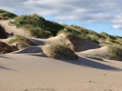 Holiday house Albatros 191 - Environment photo 14