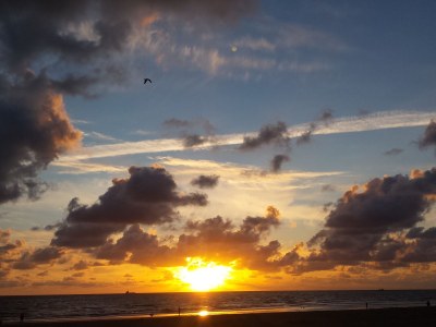 Holiday house Albatros 191 - Environment photo 17