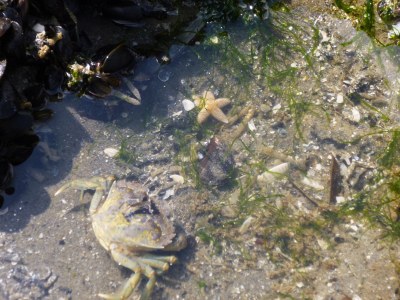 Holiday house Albatros 191 - Environment photo 19