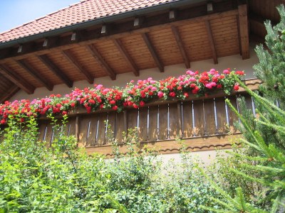 Holiday apartment Haus Sattler, Nonsmokers only - Outdoor photo 5