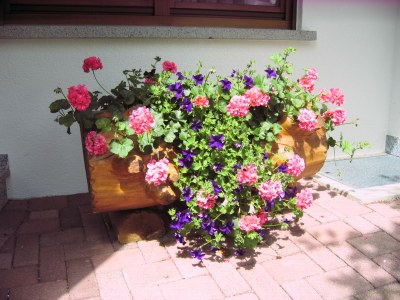 Holiday apartment Haus Sattler, Nonsmokers only - Outdoor photo 6