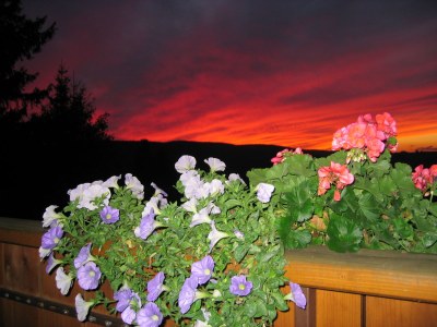 Holiday apartment Haus Sattler, Nonsmokers only - Environment photo 14