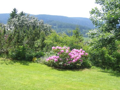 Holiday apartment Haus Sattler, Nonsmokers only - Environment photo 15