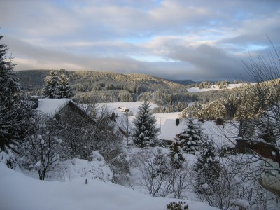 Holiday apartment Haus Sattler, Nonsmokers only - Environment photo 17