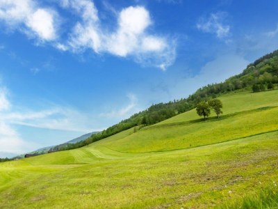 Holiday house Chalet in Niedernsill near Ski Slopes - Environment photo 27