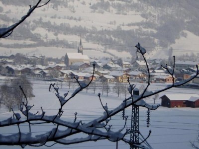 Holiday house Chalet in Niedernsill near Ski Slopes - Environment photo 34