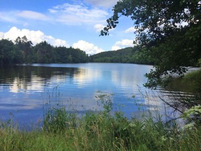 Apartment Geräumige Ferienwohnung im Sauerland - Environment photo 22