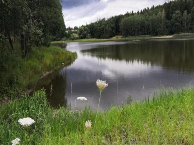 Apartment Geräumige Ferienwohnung im Sauerland - Environment photo 26