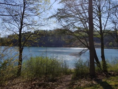 Apartment Geräumige Ferienwohnung im Sauerland - Environment photo 29