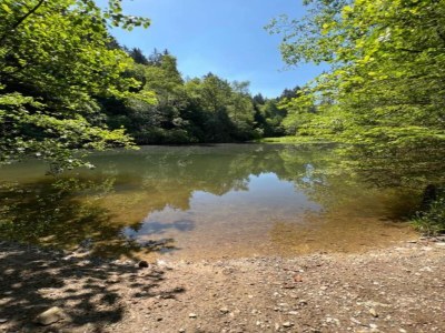 Apartment Geräumige Ferienwohnung im Sauerland - Environment photo 35