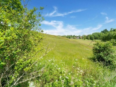 Apartment Geräumige Ferienwohnung im Sauerland - Environment photo 38