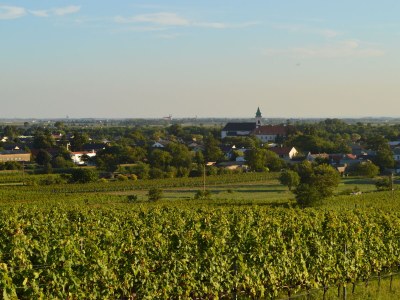 Apartment Studio-Apartment - Environment photo 16