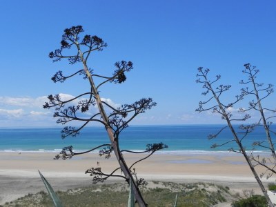 Villa Casa Maria del Carmen - Environment photo 27