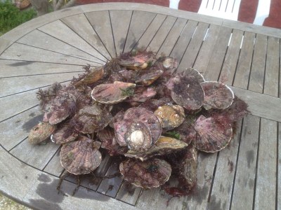 Holiday house Roc'h Vraz - Environment photo 21