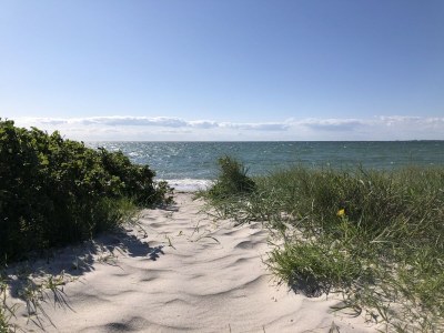 Holiday house Beach house Treibgut new as of 2015 - Environment photo 25