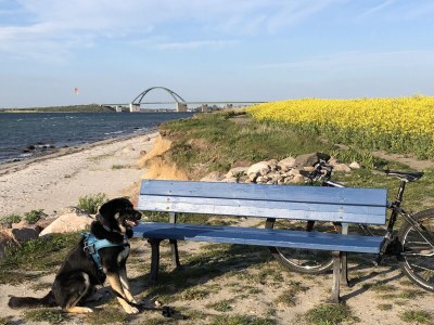 Holiday house Beach house Treibgut new as of 2015 - Environment photo 27