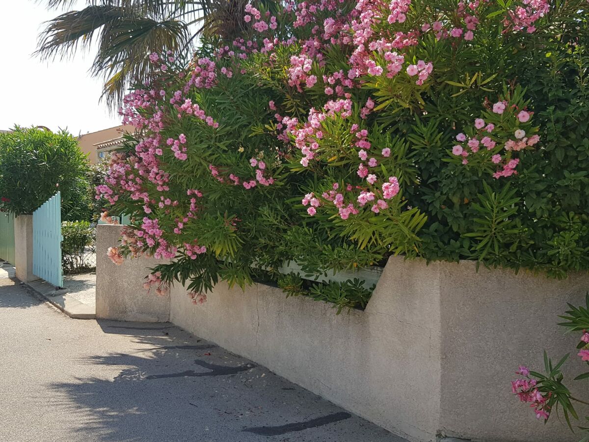 Holiday house Ã  la Plage Grazel - Outdoor photo 4