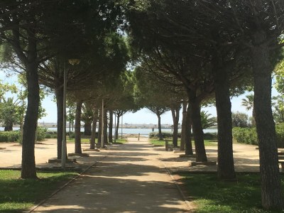 Holiday house Ã  la Plage Grazel - Environment photo 23