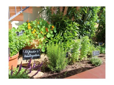 Holiday apartment Casa Vistabella - Outdoor photo 16