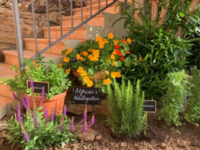 Holiday apartment Casa Vistabella - Outdoor photo 17