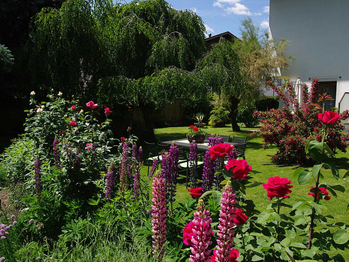 Apartment Primrose - Outdoor photo 4