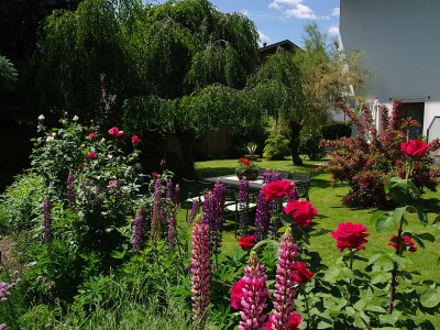 Apartment Primrose - Outdoor photo 4