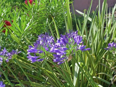 Holiday house Holiday Home in Six-Fours near Beach - Outdoor photo 4