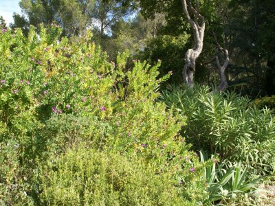 Holiday house Holiday Home in Six-Fours near Beach - Environment photo 19