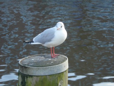 Holiday apartment Bothe - Environment photo 19