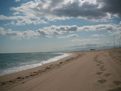 Holiday house Centrally located on the sandy beach - Environment photo 17