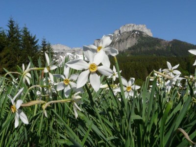 Holiday apartment Alexandra 2 - Environment photo 14