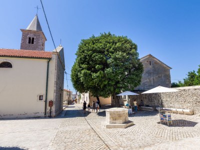 Holiday apartment Sanja - Environment photo 18