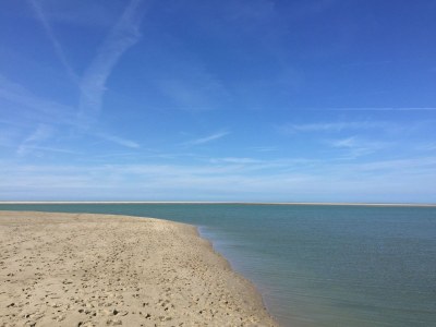 Chalet Zwaan 1179 - Environment photo 14