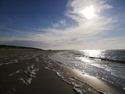 Chalet Zwaan 1179 - Environment photo 18