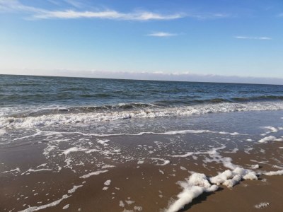 Chalet Zwaan 1179 - Environment photo 19