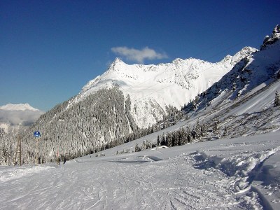 Holiday apartment 1 im Haus Bohemia - Environment photo 16