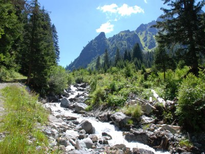 Holiday apartment 1 im Haus Bohemia - Environment photo 20