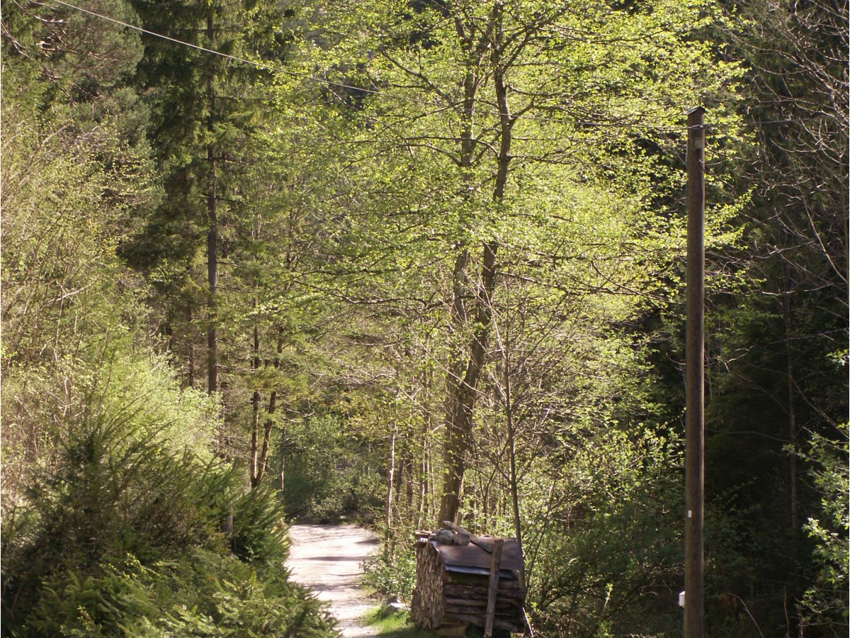 Holiday apartment Chalet Adriana - Outdoor photo 5