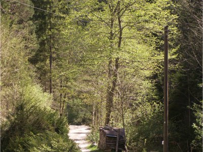 Holiday apartment Chalet Adriana - Outdoor photo 5