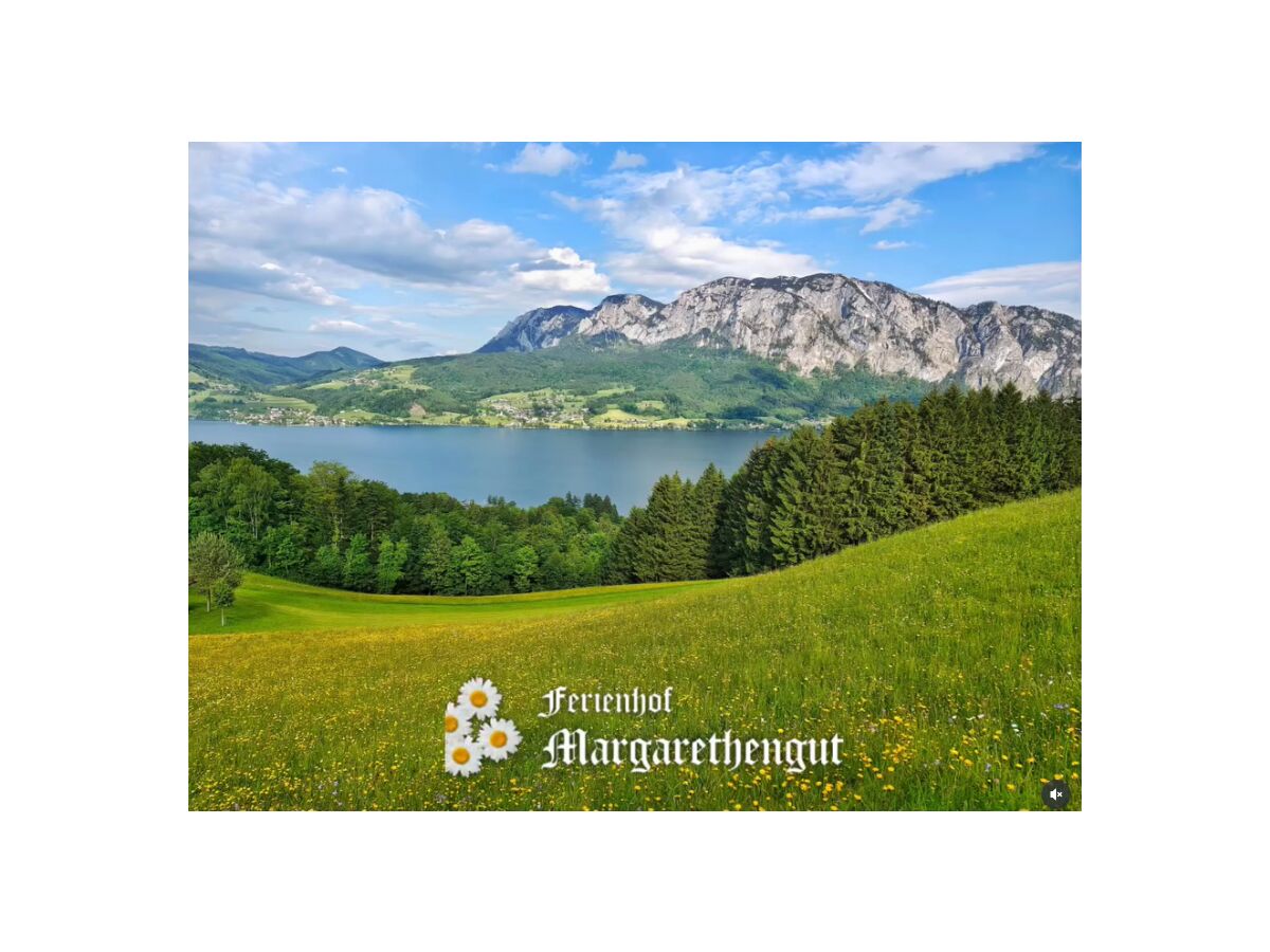 Holiday apartment Mondsee - Outdoor photo 3