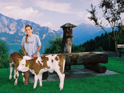 Holiday apartment Mondsee - Outdoor photo 10