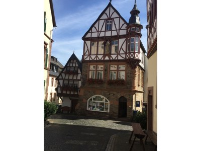 Holiday house Vinum - Environment photo 16