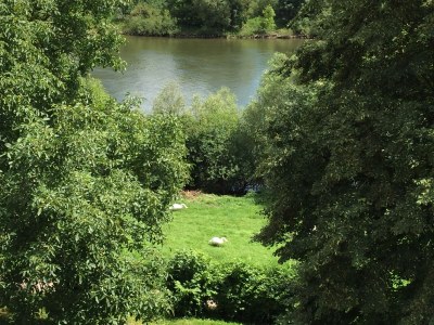 Holiday house Vinum - Environment photo 27