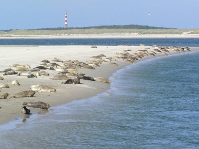 Apartment Amelander Kaap - Environment photo 23