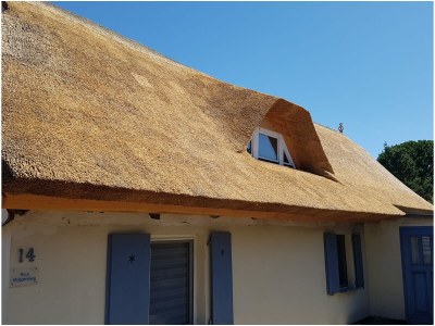 Holiday apartment "Laura". in Wieck a. Darß - Holiday apartment