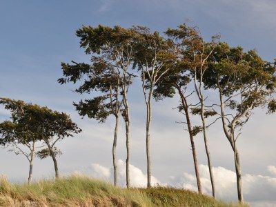 Holiday apartment "Laura". - Environment photo 20