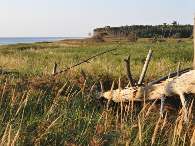 Holiday apartment "Laura". - Environment photo 21