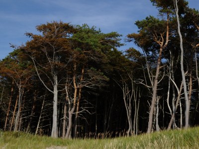 Holiday apartment "Laura". - Environment photo 23